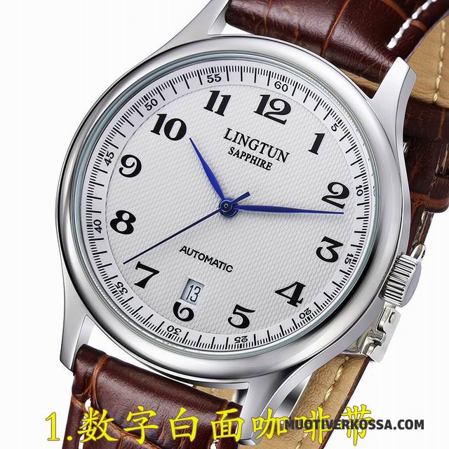 Zegarek Męskie Paski Casual Zegarek Na Rękę Rhinestone Automatycznie Kawowy Biały